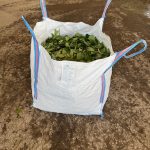 Standard Skip Bag Hire
