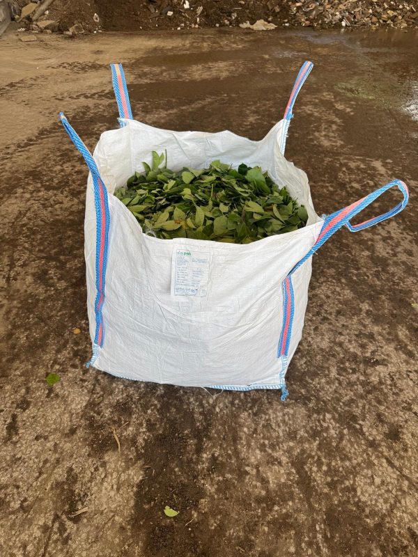 Standard Skip Bag Hire