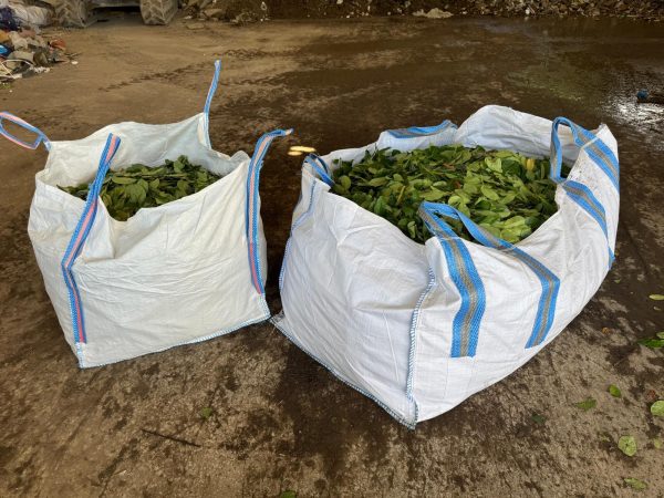 standard and jumbo size skip bags available